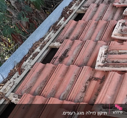 רעפים אדומים על גג עם עלים יבשים